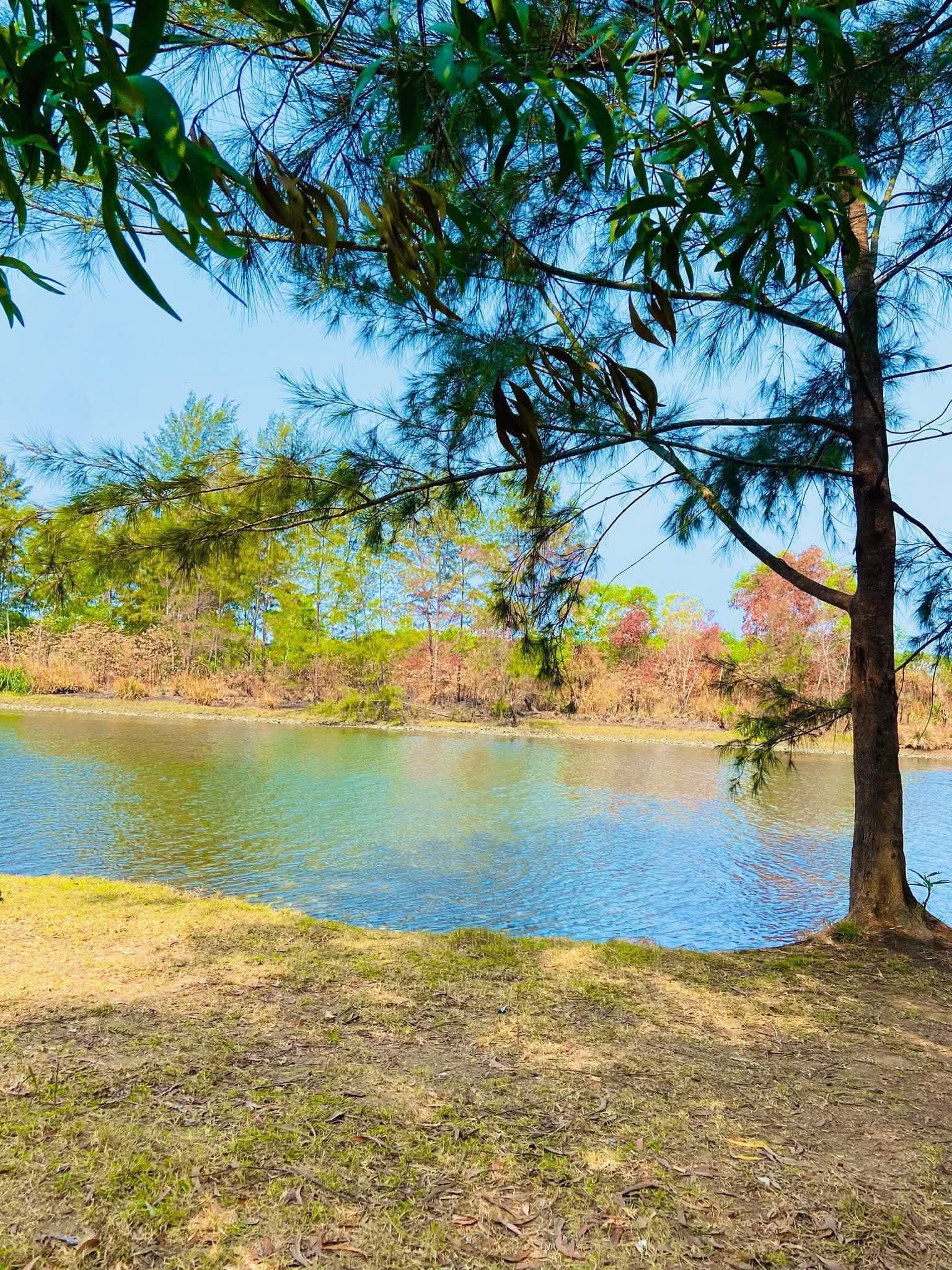 Near Riverfront Lot Bani Masinloc-3