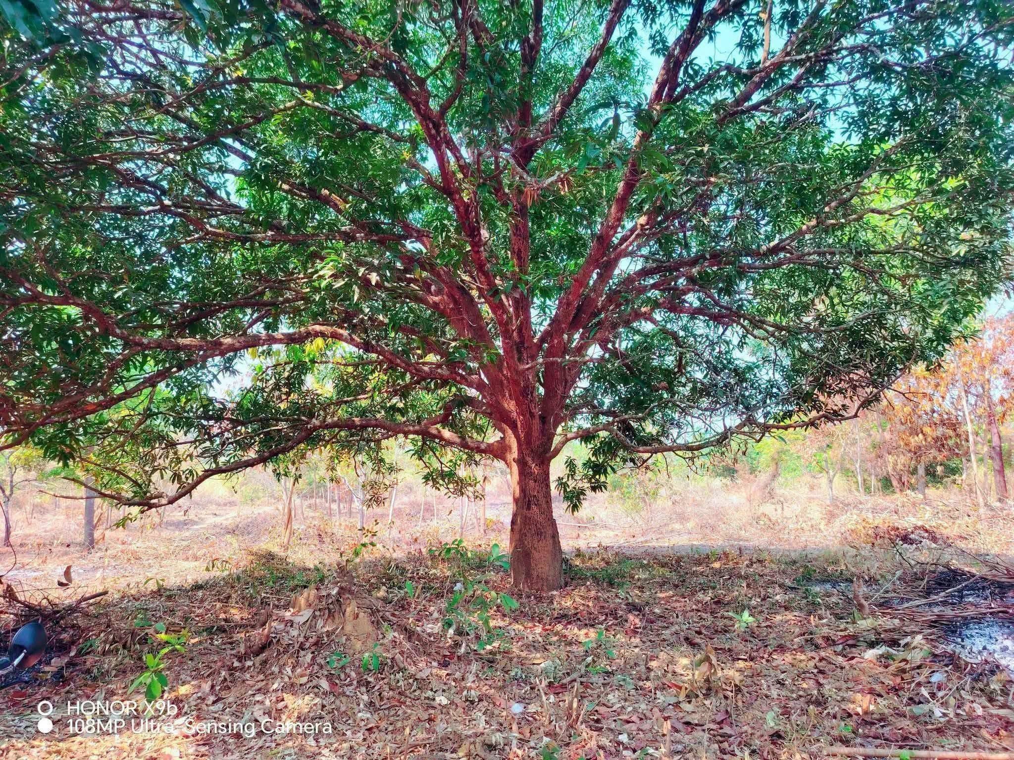 Near Riverfront Lot Pinagrealan Candelaria-2