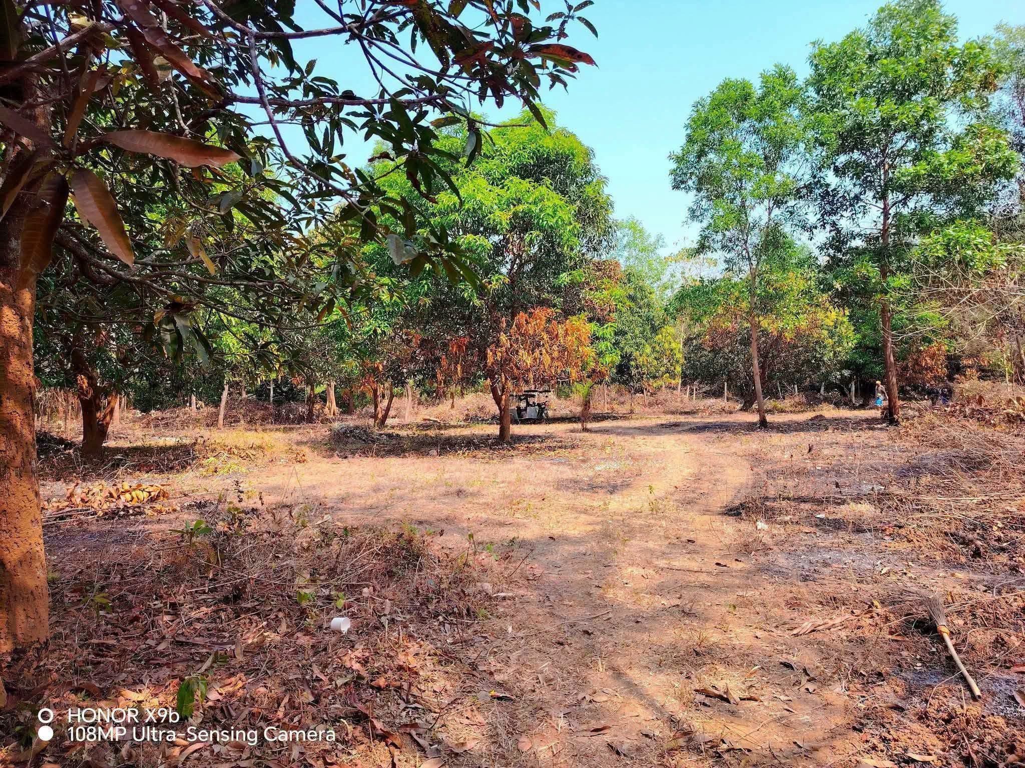 Near Riverfront Lot Pinagrealan Candelaria-3