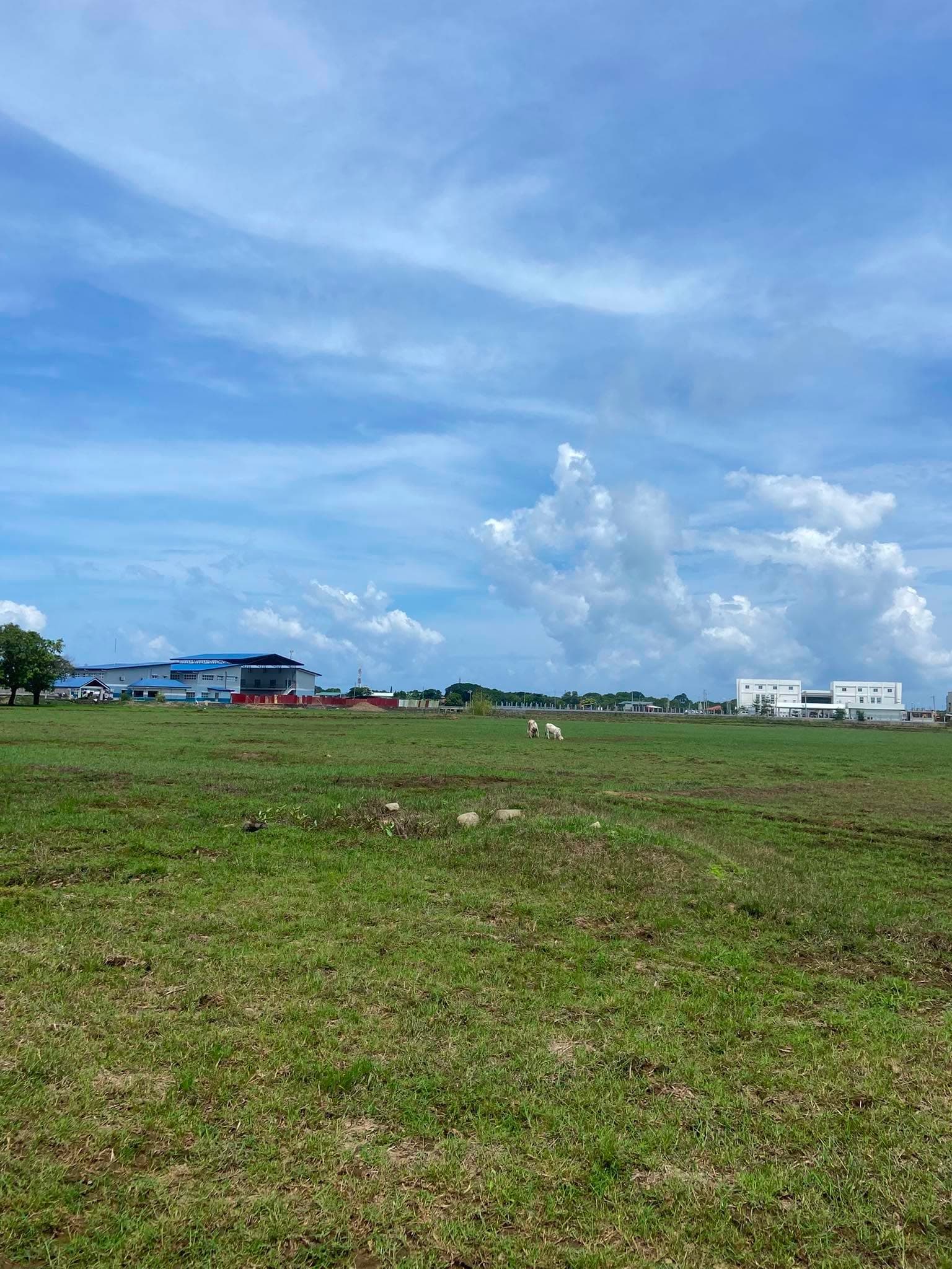 Dirita Iba Zambales-3