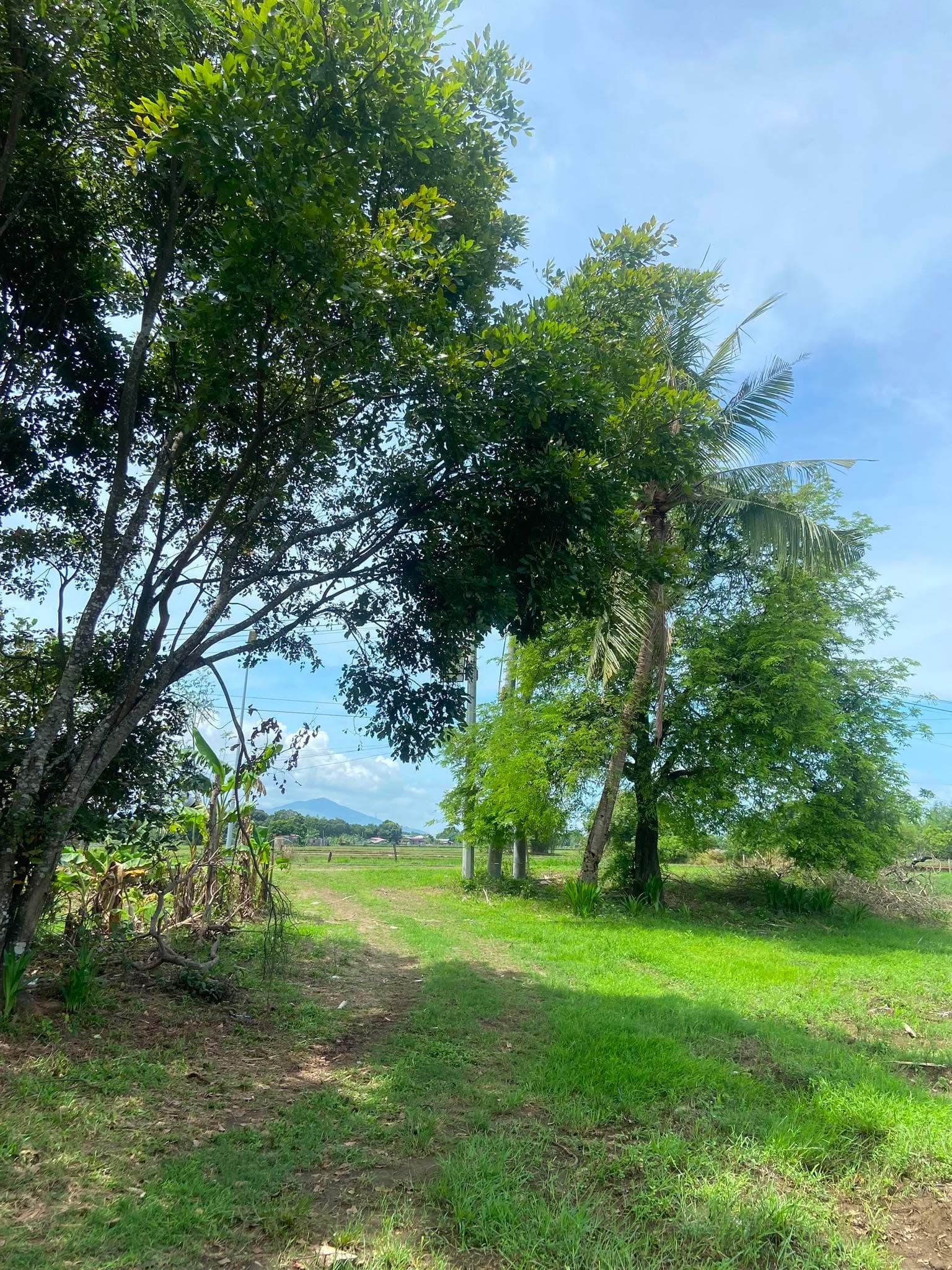 Dirita Iba Zambales-5
