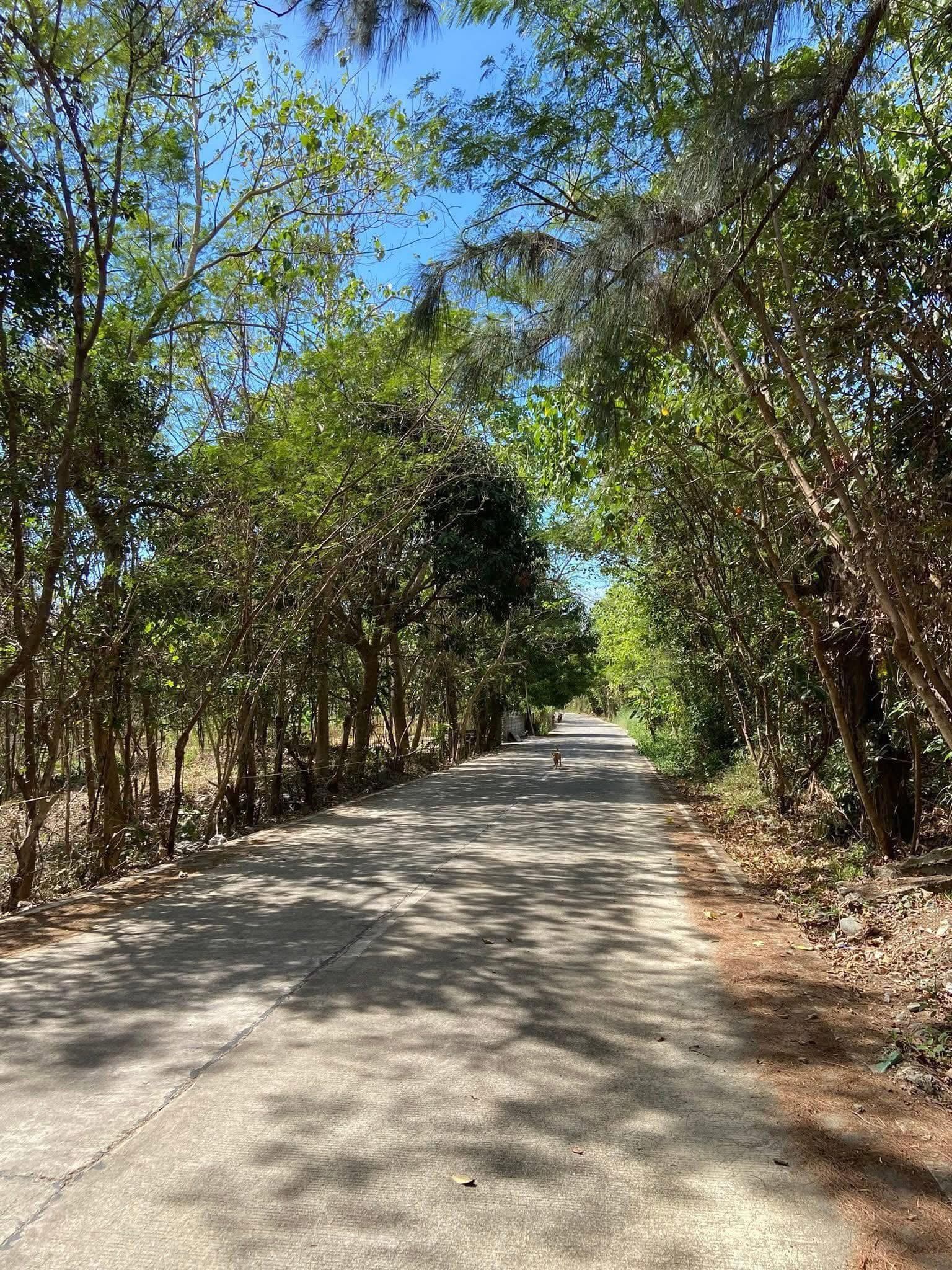 Macarang Palauig Zambales-4