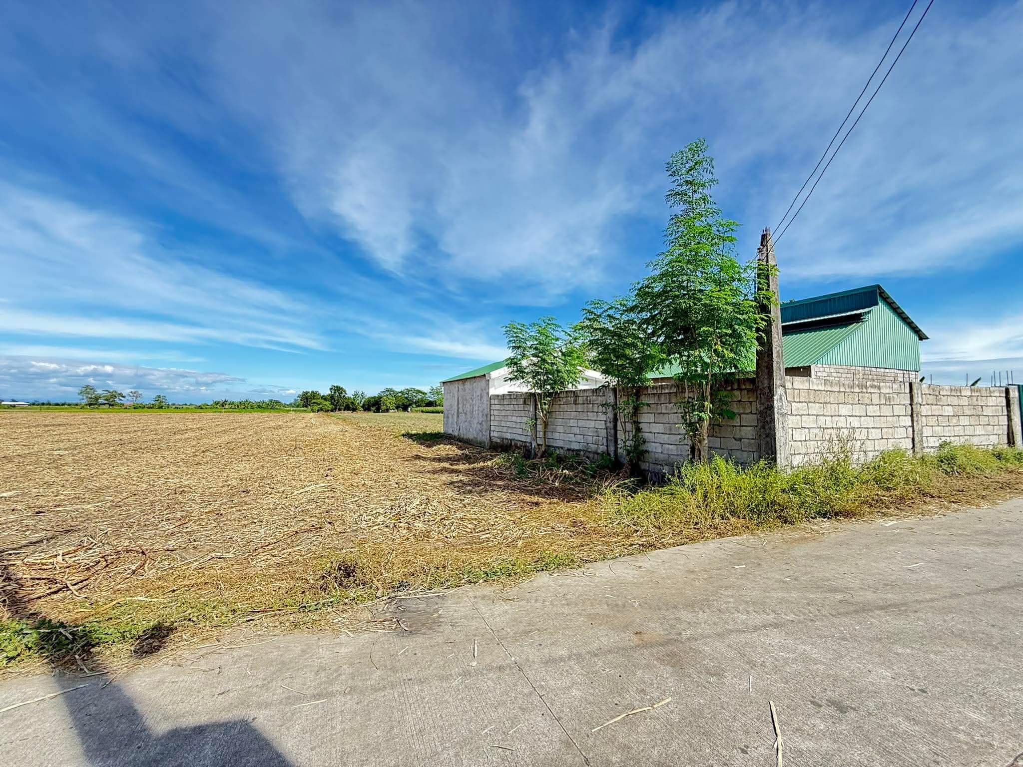 Maluid Victoria, Tarlac-2