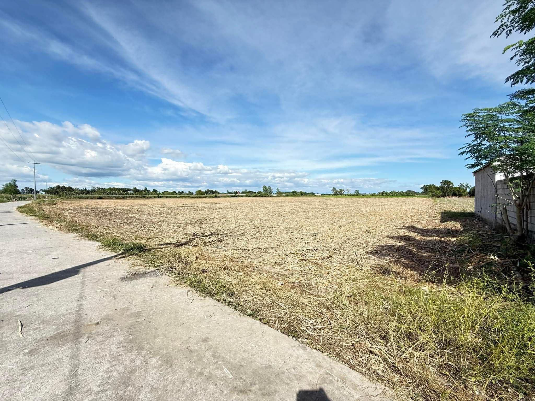 Maluid Victoria, Tarlac-4