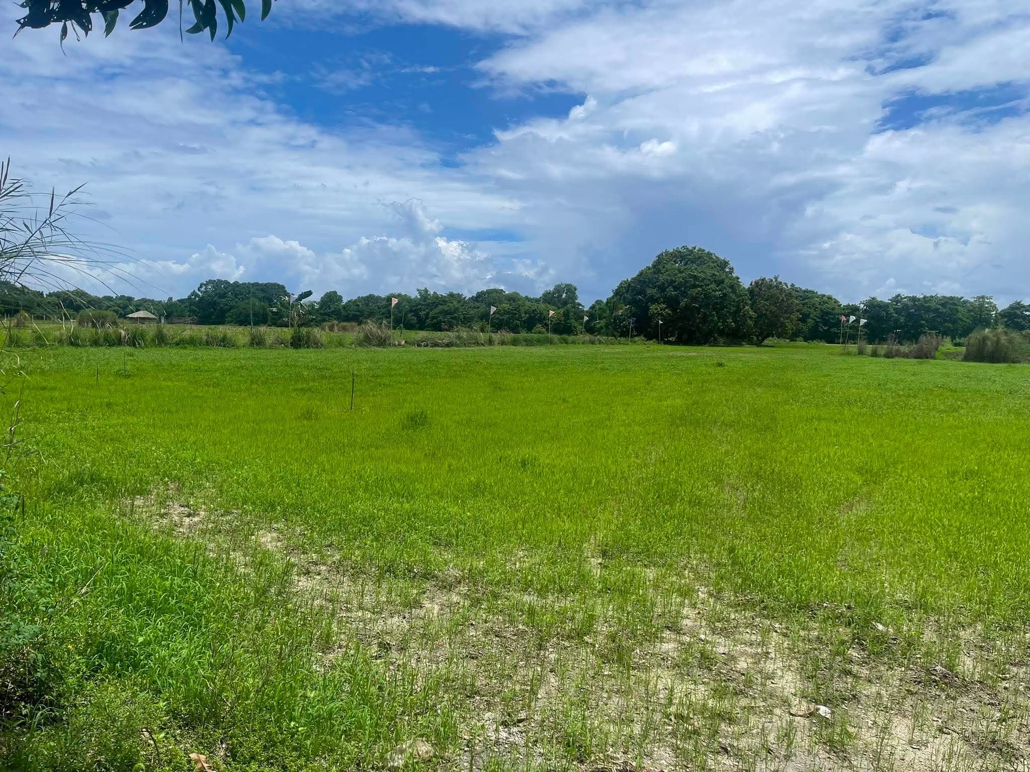 Maloma Sta. Maria & Balingtagac San Felipe, Zambales-5