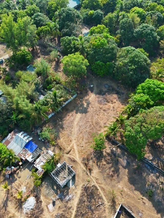 Private Beach Lot in Sabang Sta. Cruz-5