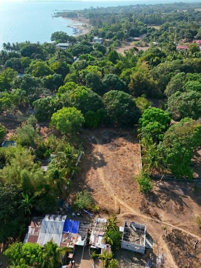 Private Beach Lot in Sabang Sta. Cruz-6
