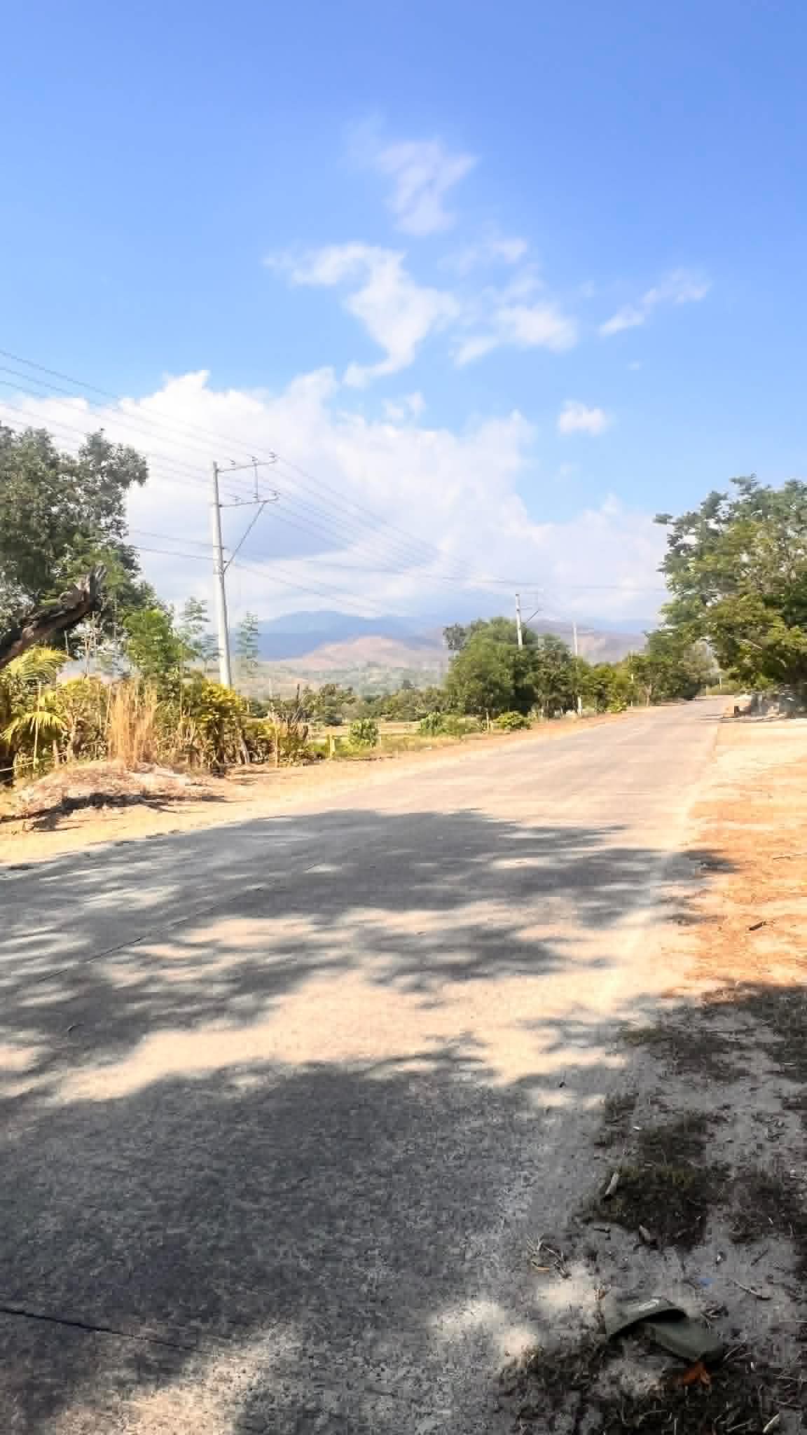 Mambog Botolan Zambales