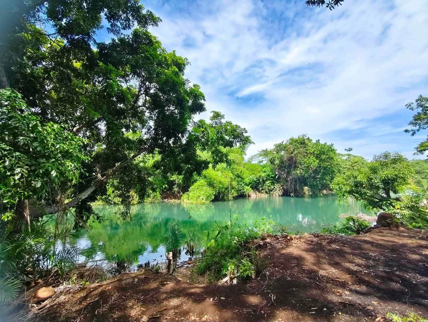 Mango Farm at San Agustin Iba Zambales